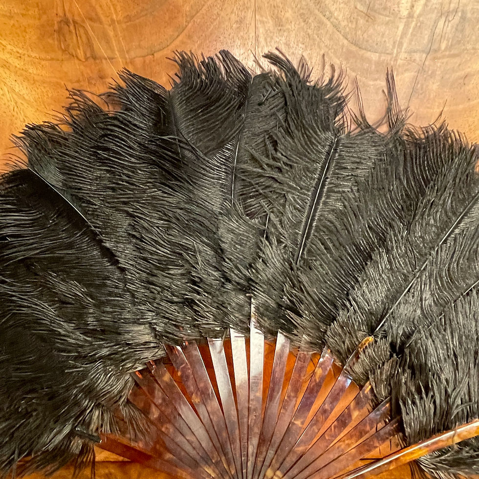 Thumbnail: Small Ostrich Feather Fan