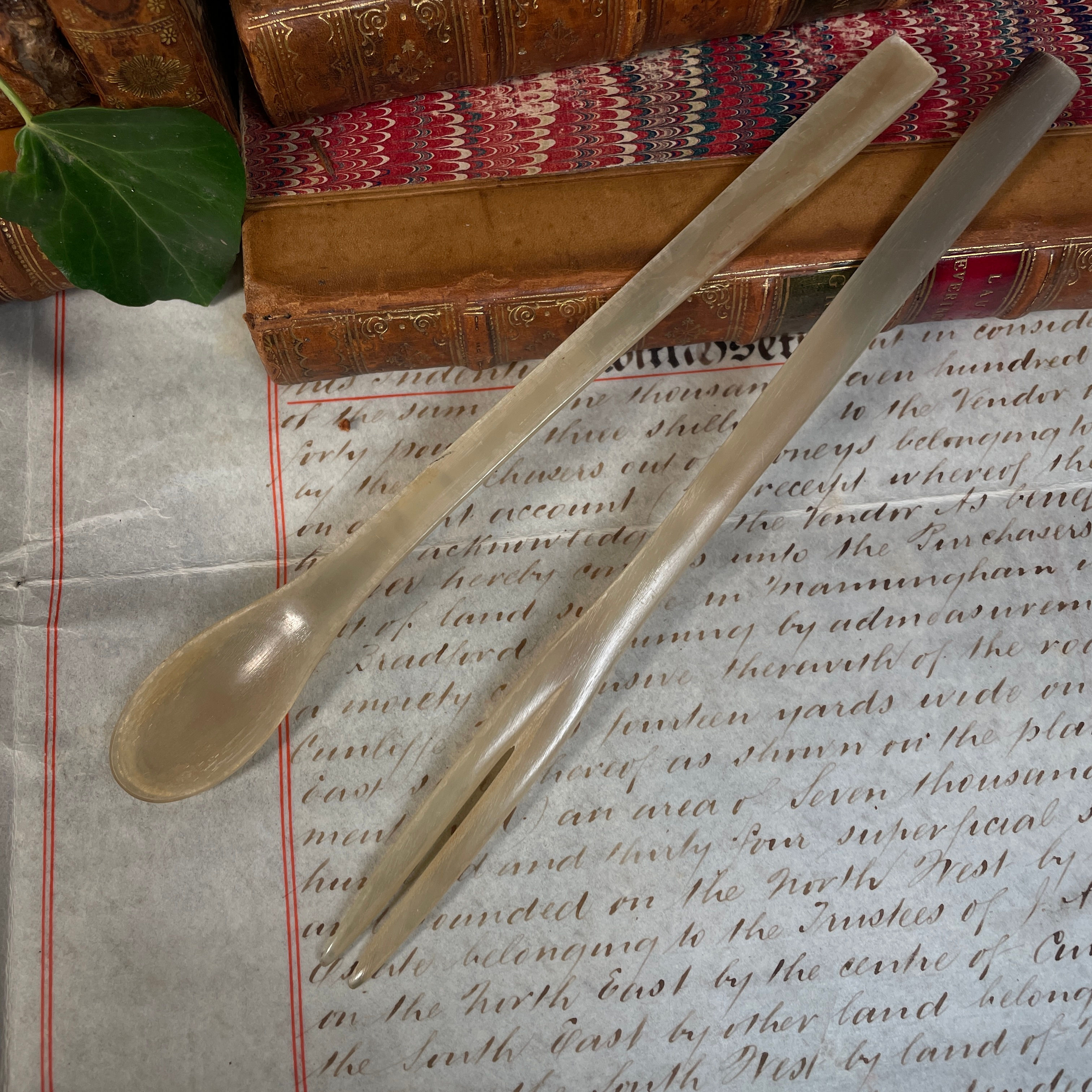 A Horn Spoon and Fork