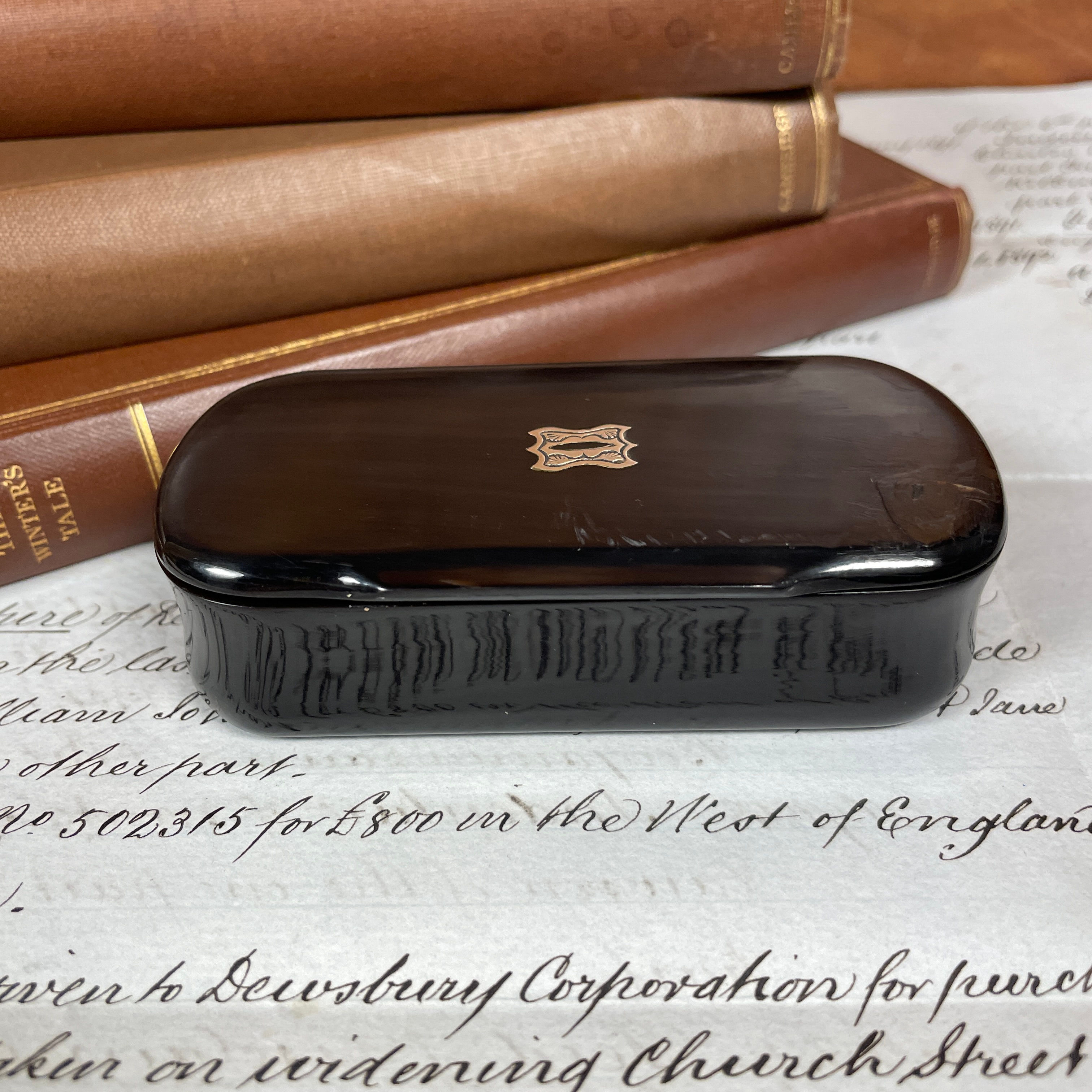 19th Century Horn Snuff box