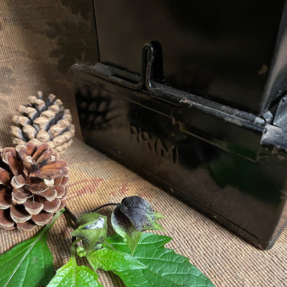 Thumbnail: Victorian Bulls Eye Lantern