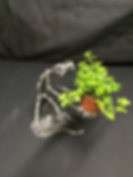 Medium Helper Bot