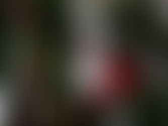 Families Helping Families!