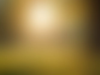 Stunning Portraits: Elevate Your Image with Professional Photography