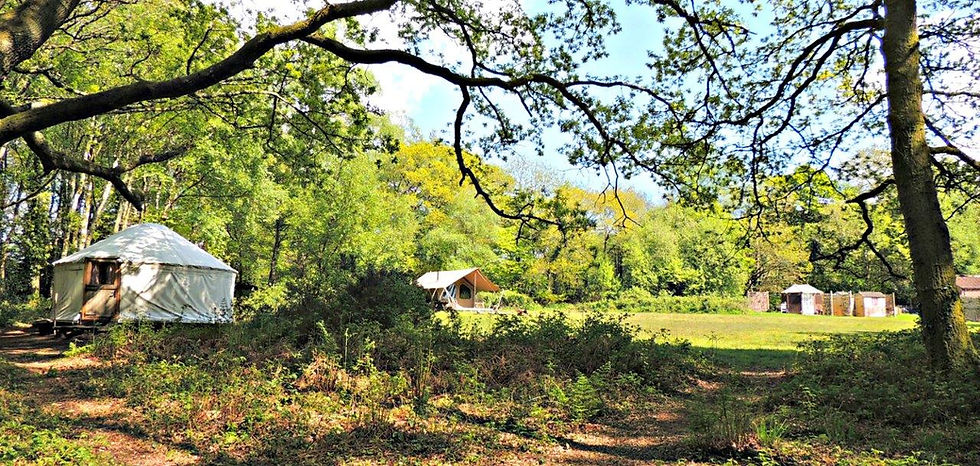 glamping in somerset devon dorsetDSCN2686letterbox_sm.jpg