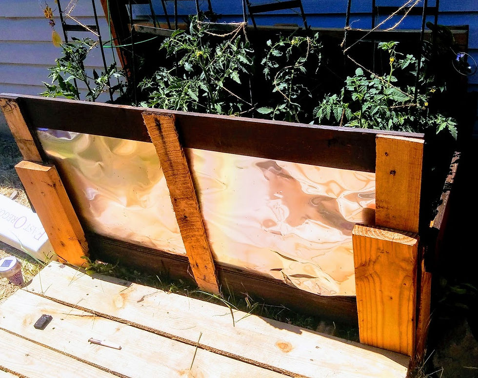 Raised Garden Bed D.I.Y.