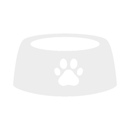 Dog bowl
