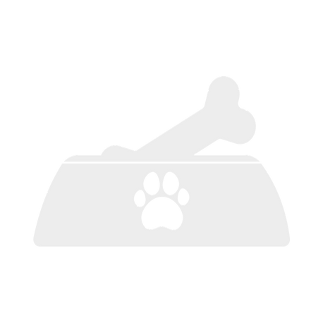 Dog Bowl With Bone