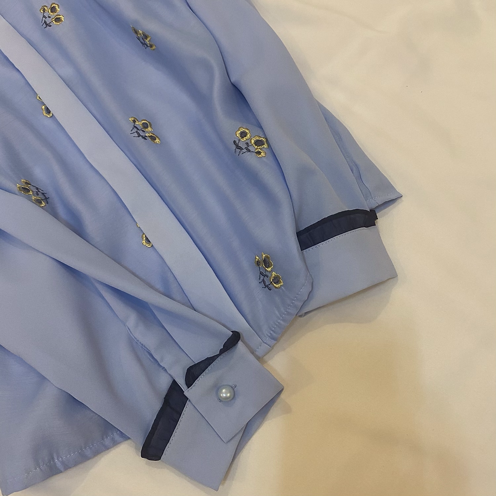 Thumbnail: D614  Beautiful embroidered powder blue longsleeves