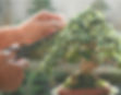 iStock-1796729861-web.jpg