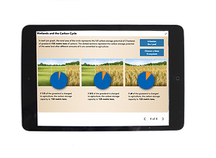 ipad screen showing one page of a digital lesson about wetlands.