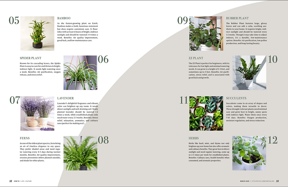 Screenshot 2025-03-18 at 11.23.03 AM.png