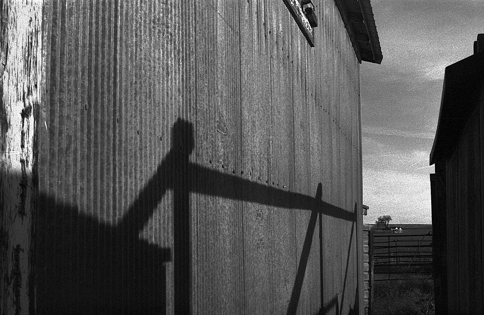 BW_9.jpg