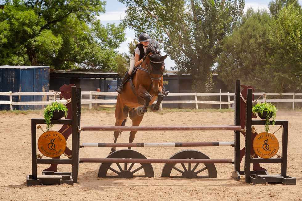 Rider on a brown thoroughbred horse jumping over an obstacle in an outdoor arena. Green trees and fences in the background.