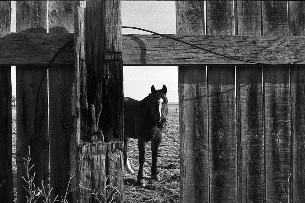 BW_32.jpg