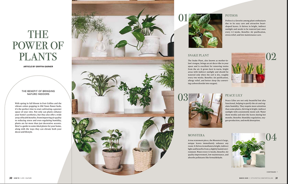 Screenshot 2025-03-07 at 12.50.02 PM.png