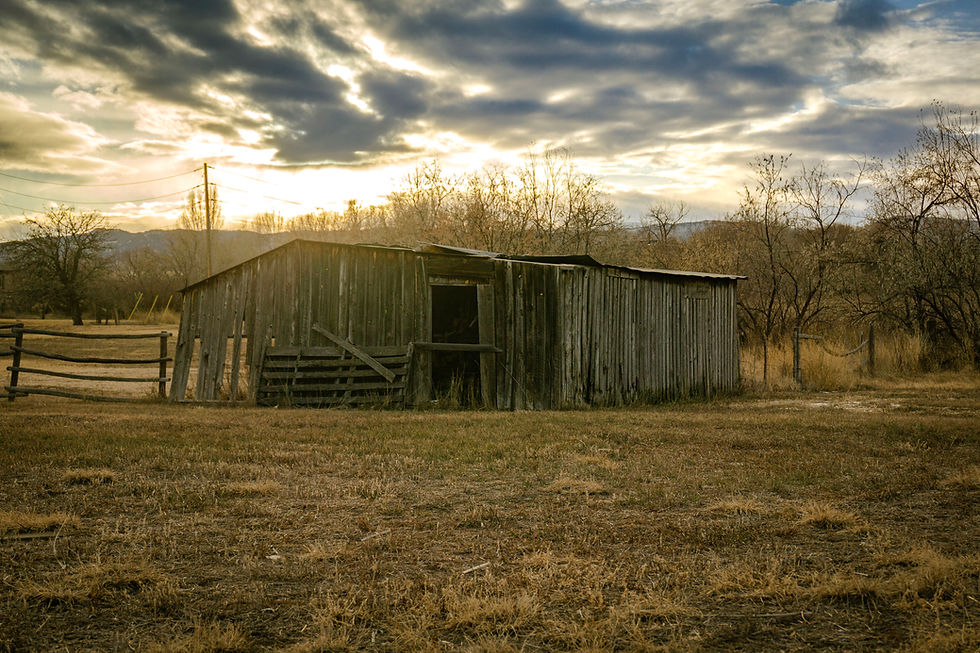Barn.jpg