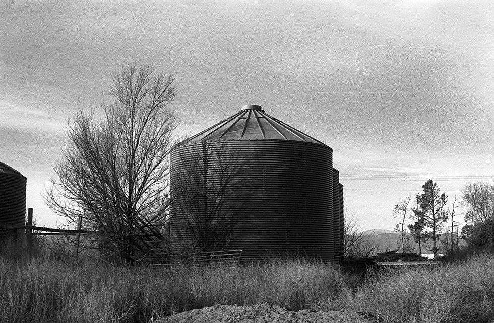 BW_19.jpg