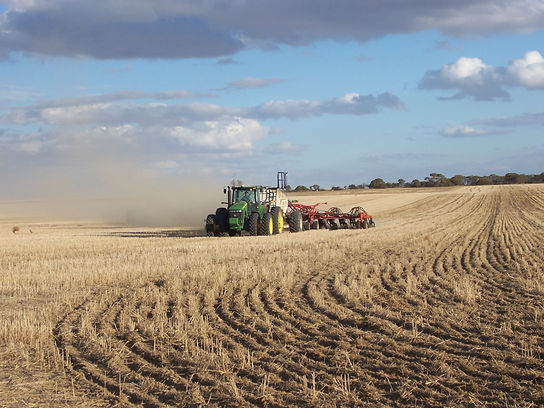 Picture case study photos 005 (4).jpg