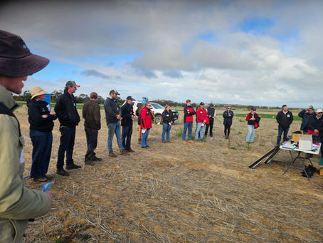 Post Seeding Field Walk Inspires Collaboration at Kalannie
