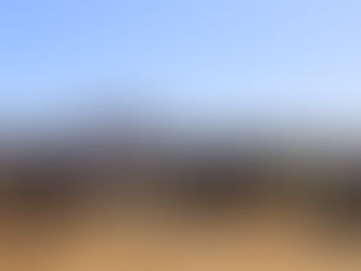 Record breaking field walk for Liebe Group