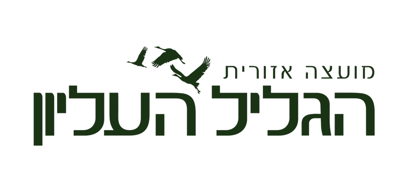 עותק של גליל עליון ONG_edited_edited.png