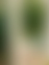 Storybook Living: Creating a Life of Meaning