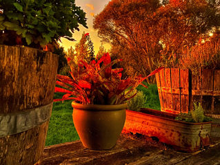 What is an ordinary day in my life as a cottage homemaker?