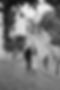 IMG_3692.jpeg