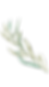 Copy of ERIKA_edited.png