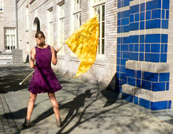 P1050823 background desat