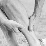 Assessments & treatment of Orthopaedic conditions
