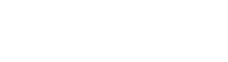 plant-graphic.png