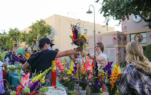 farmers-market-03.jpeg