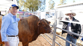 Farm Fest more than just a show