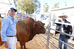 Farm Fest more than just a show
