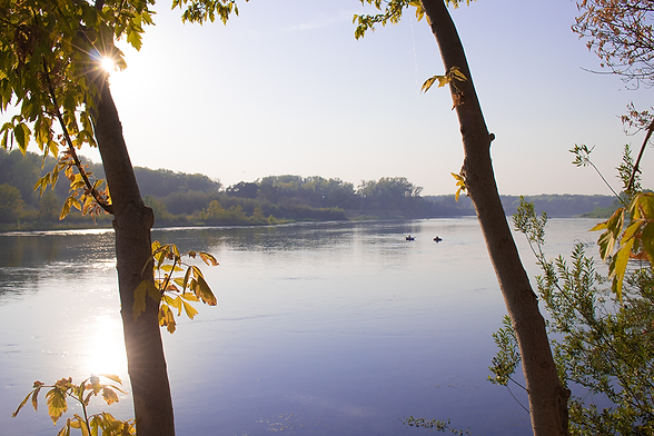 Landscape image of two people in intertubes floating down the Sacramento river, two trees in foreground.