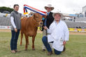 Quality, not quantity for Senepol breed