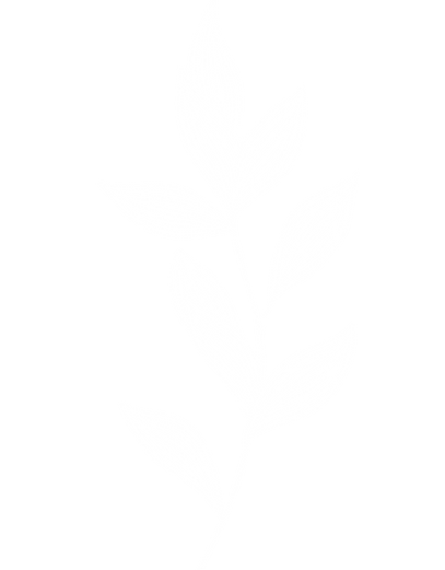 thrive-foliage-02.png