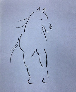 Horse sketch 1.jpg