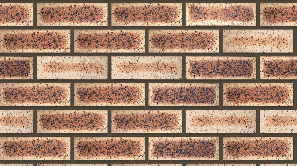 Corobrik Blue Barley Travertine FBX Clay Face Brick