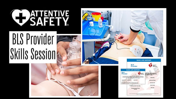 bls-provider-skills-session_orig (1).jpg