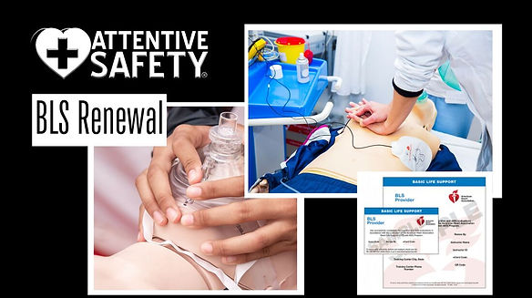bls-renewal-1_orig (1).jpg