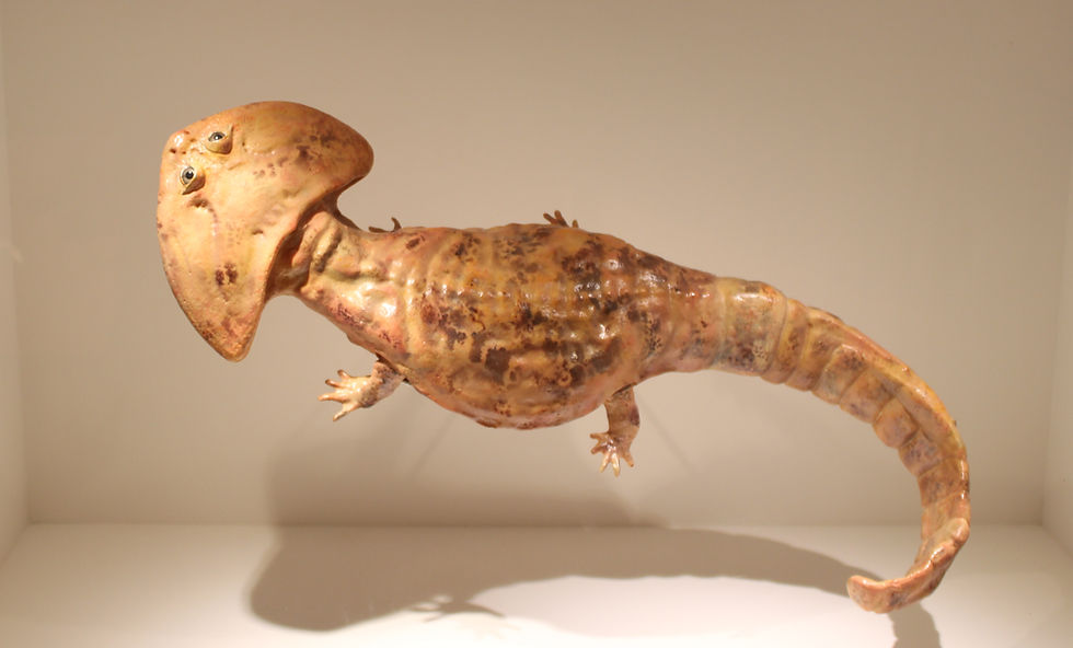 Boomerang Headed Amphibian from the Houston Museum of Natural History