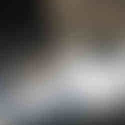 Tortoise leaving the water once the spray was done.