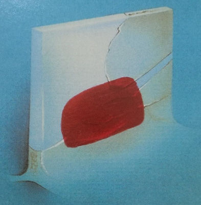 CIRUGIA DESVIACION DE TABIQUE2.jpg