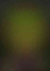 Spirit of Nature Poster 2