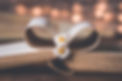 56E21C1F-5060-442B-ABEF-29EC306B0C94.jpeg