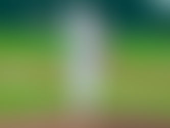 Northview Academy Cougars Knock Off Seymour 5-2