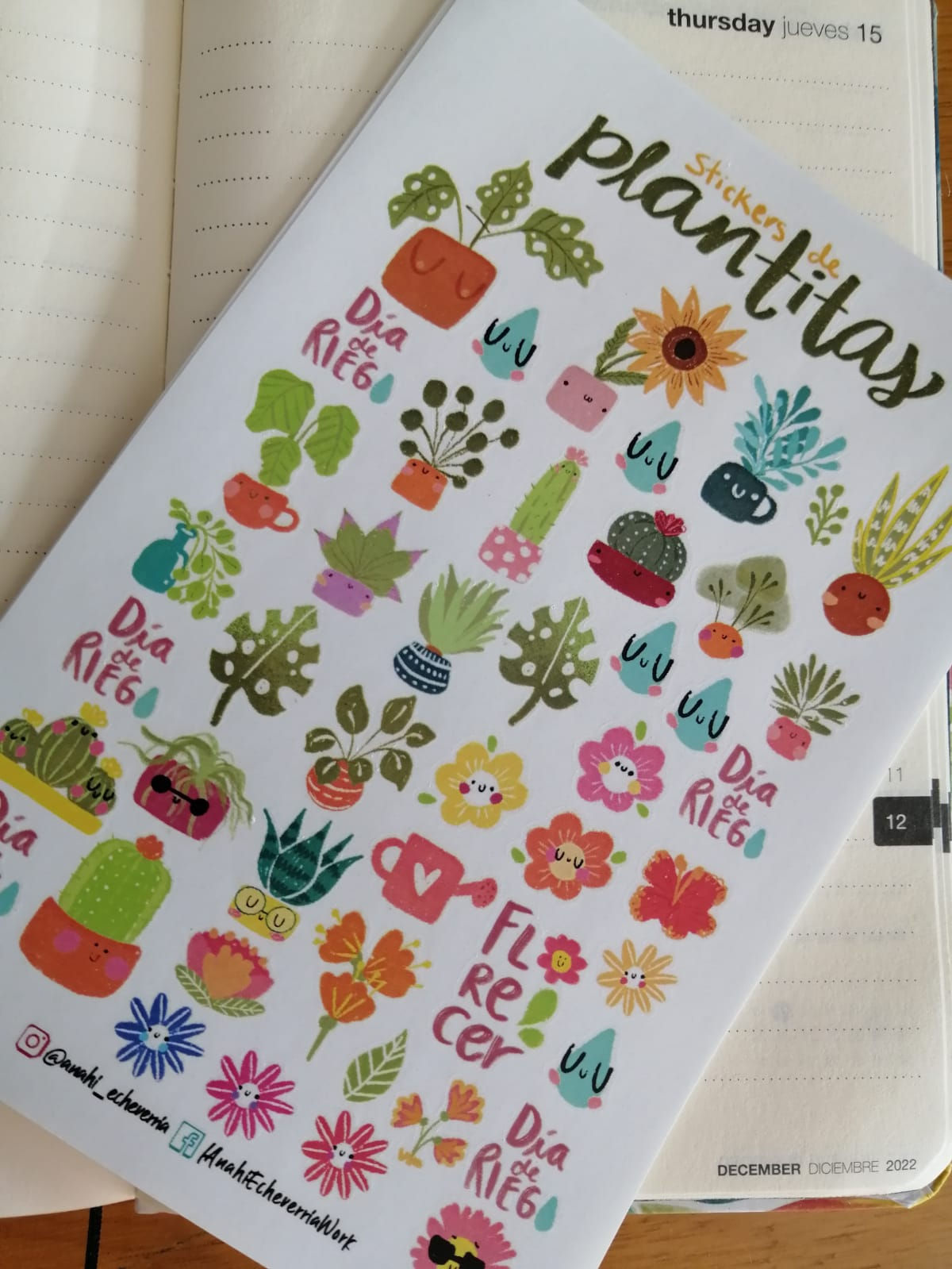 Planilla de stickers "Plantitas"