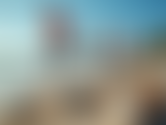 Tax-Deductible Donations: Saving the World from Plastic Polymers